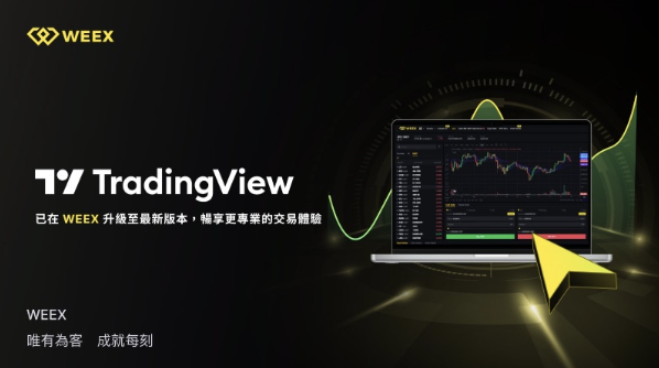 如何在WEEX使用TradingView分析工具?